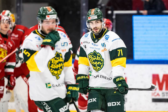 Björklövens Gustav Possler