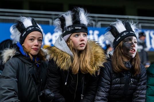 Spectators in the stands
