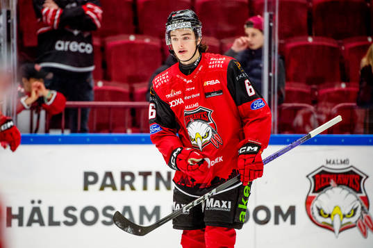 Malmö Redhawks Dominik Badinka värmer upp innan