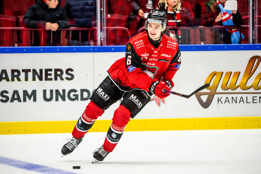 Malmö Redhawks Dominik Badinka värmer upp innan