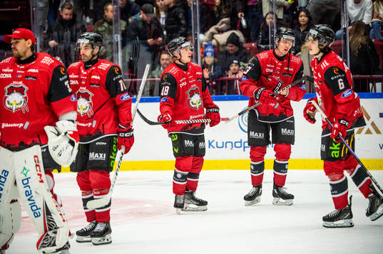 Malmö Redhawks spelare deppar