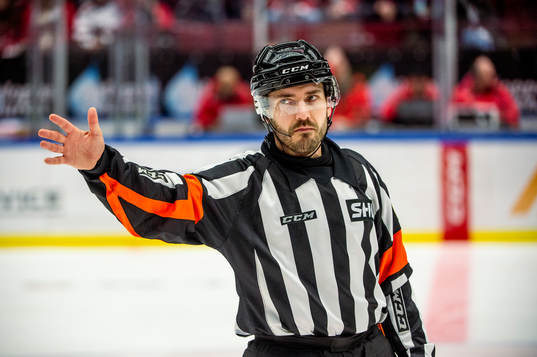 Domare Mattias Enroth