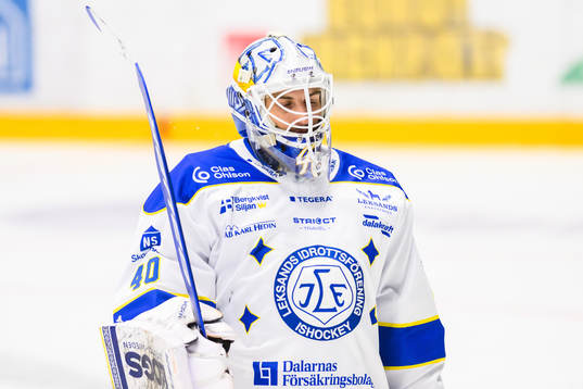 Leksands målvakt Mantas Armalis deppar