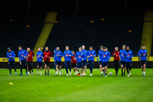 players of the Swedish national football team