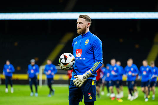 Goalkeeper Viktor Johansson of the Swedish national