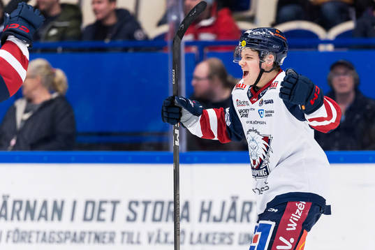 Linköpings Mattias Hävelid jublar