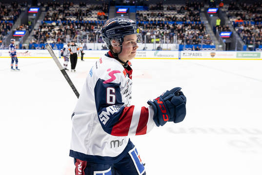 Linköpings Mattias Hävelid jublar