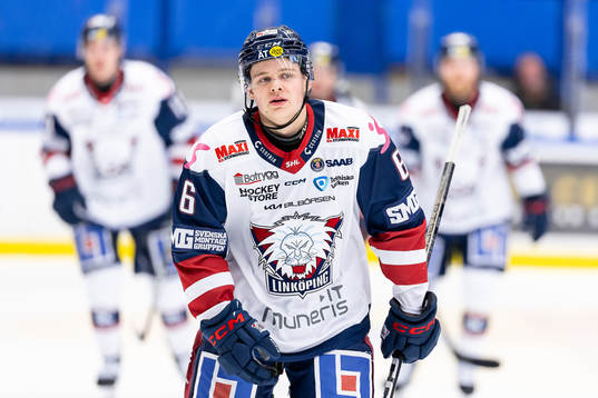 Linköpings Mattias Hävelid jublar