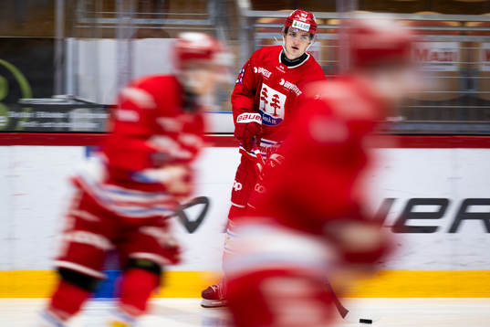 Timrås Dennis Värmhed