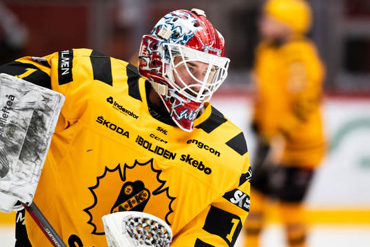 Skellefteås målvakt David Rautio