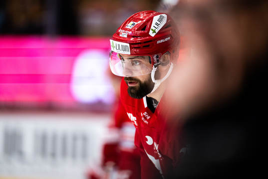 Timrås Robin Hanzl
