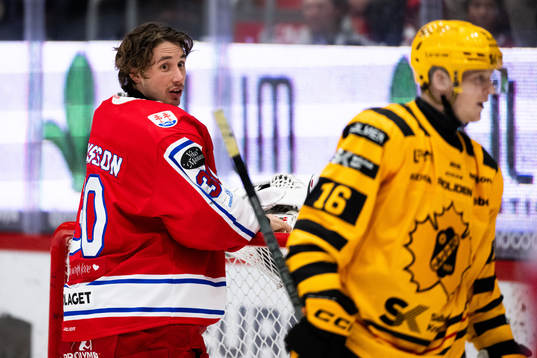 Timrås målvakt Jacob Johansson