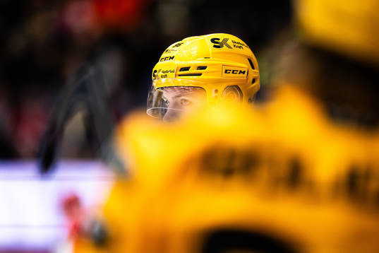 Skellefteås Rickard Hugg