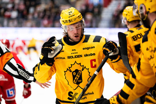 Skellefteås Jonathan Pudas