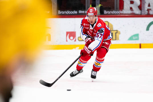 Timrås Anton Wedin