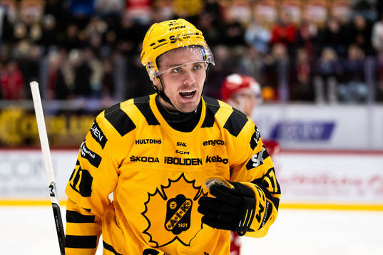 Skellefteås Max Lindholm