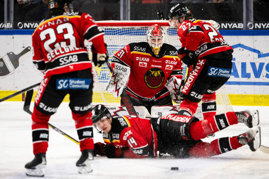 Luleås målvakt Matteus Ward