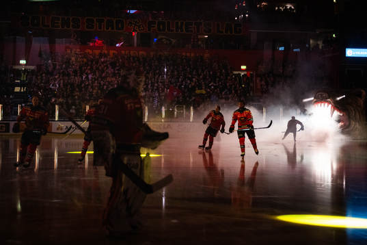 Luleås spelare åker in på isen