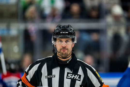 Domare Johan Magnusson