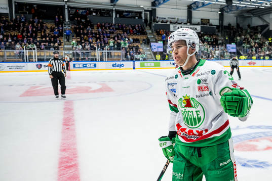Rögles Albin Sundsvik jublar