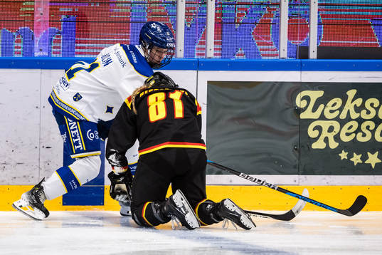 Leksands IFs Fanny Brolin