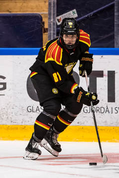 Brynäs Noemi Neubauerova