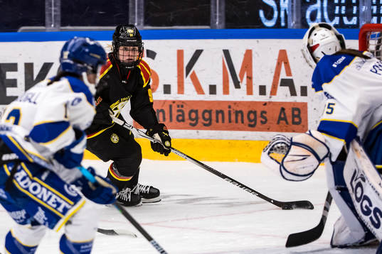 Brynäs Anna Meixner