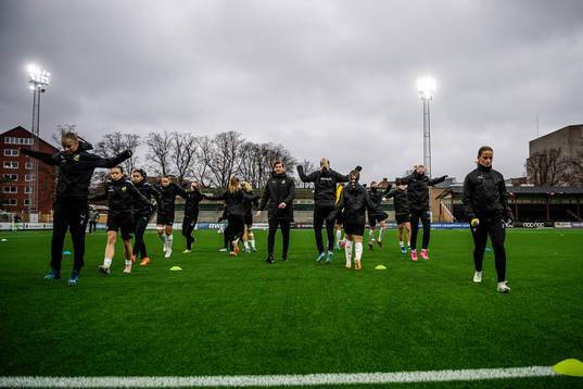 Häckens spelare