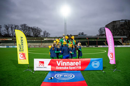 Hammarbys spelare jublar