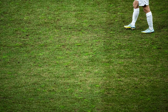 The grass pitch
