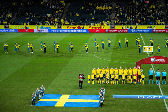 Players of Sweden
