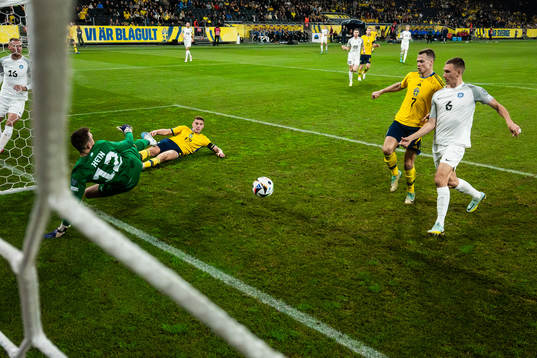 Viktor Gyökeres and Viktor Claesson of Sweden in action