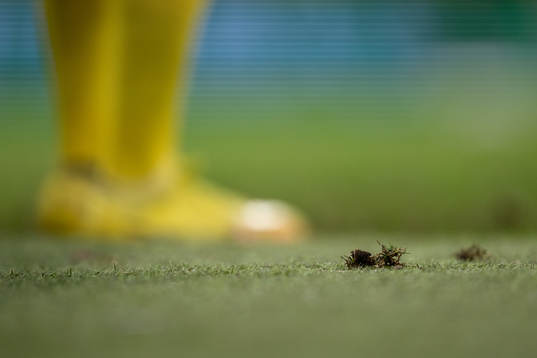 The pitch