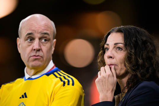 Fredrik Reinfeldt, president of the Swedish Football