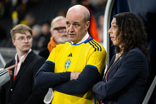 Fredrik Reinfeldt, president of the Swedish Football