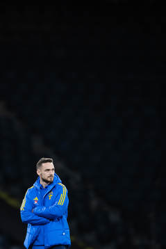 Linus Wahlqvist Egnell of Sweden inspect the pitch