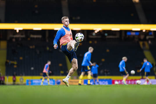 Emil Krafth of Sweden
