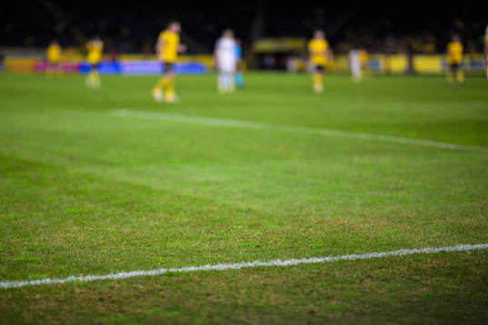 The pitch