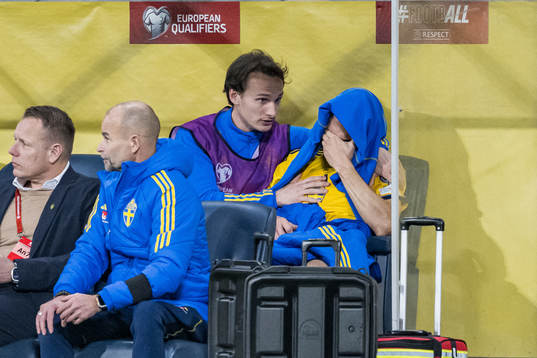Hjalmar and Albin Ekdal of Sweden