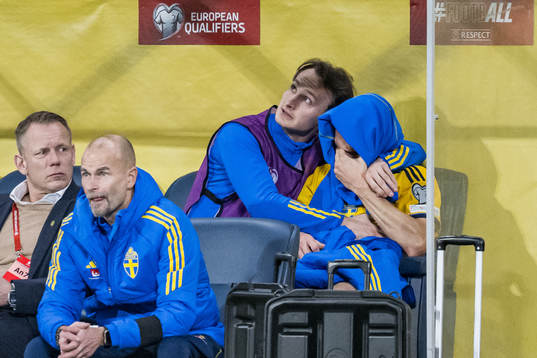 Hjalmar and Albin Ekdal of Sweden
