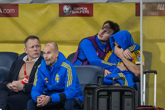 Hjalmar Ekdal and Albin Ekdal of Sweden