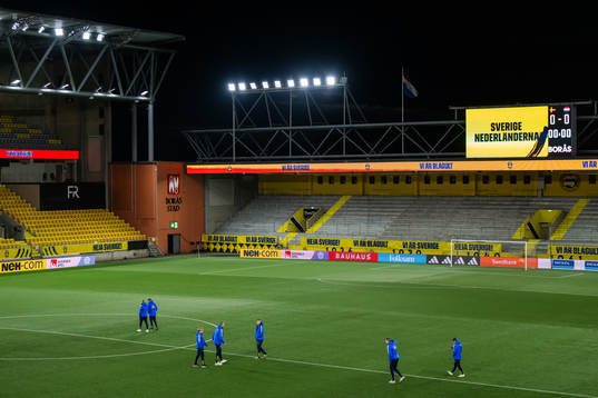 Players of Sweden