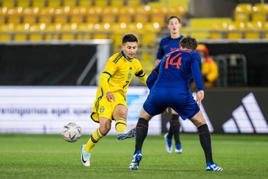Roony Bardghji of Sweden