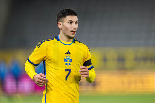Roony Bardghji of Sweden