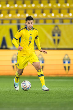 Roony Bardghji of Sweden