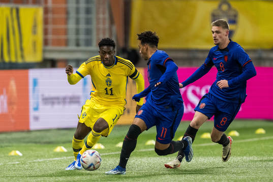 Josafat Mendes of Sweden and Myron van Brederode and