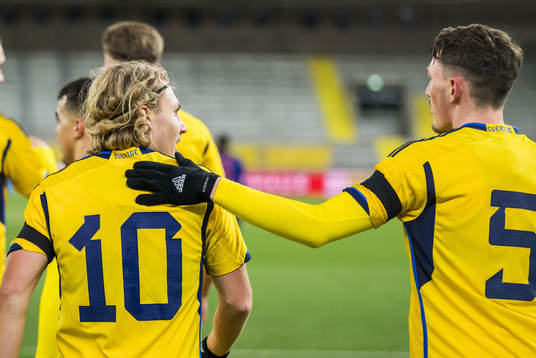 Sebastian Nanasi and Noah Persson of Sweden celebrates