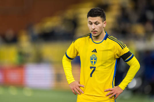 Roony Bardghji of Sweden