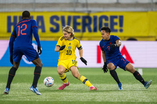 Sebastian Nanasi of Sweden and Neraysho Kasanwirjo of