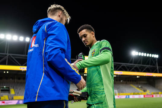 Goalkeeper Noel Törnqvist and goalkeeper Oliver Dovin